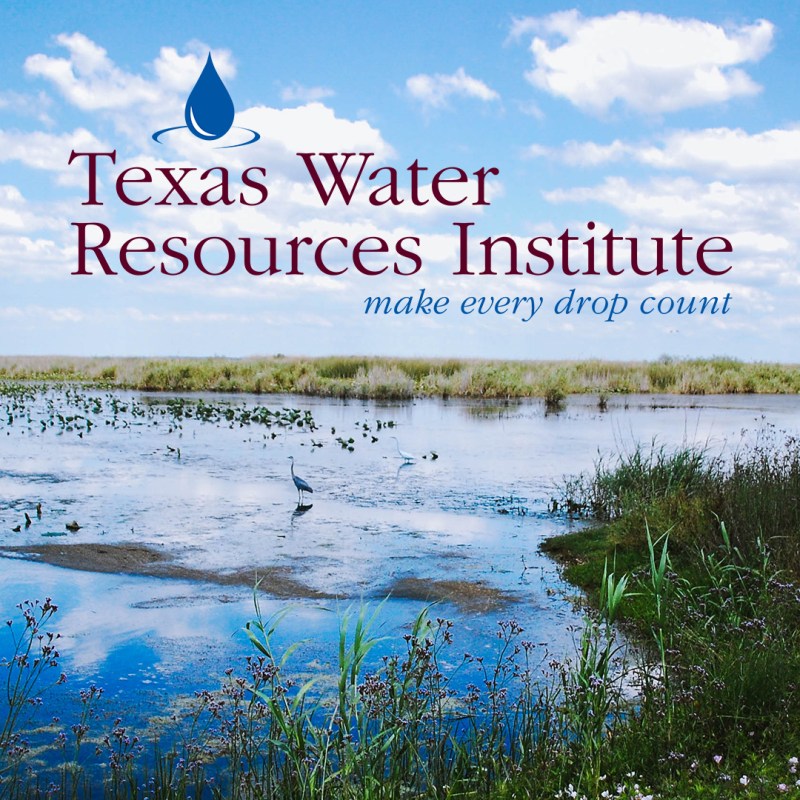 Video & Motion&nbsp;Design